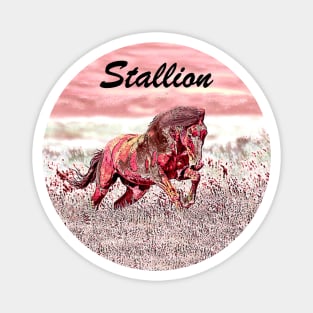 Stallion Magnet